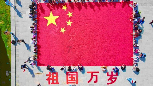 小猪佩奇饲养员